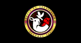 Radiotelesentinel