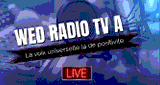 Wed Radio TV