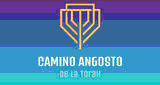 Camino Angosto de la Torah