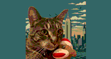 Sammy's NYC Indie-Electro Radio