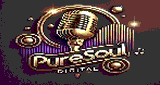 PureSoul Digital (Conscious Reggae)