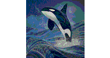Orca.fm