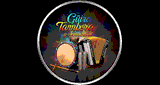 Guira Tambora y Acordeon