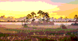 Everglades Radio Network