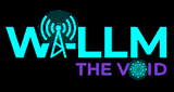 W-LLM The Void