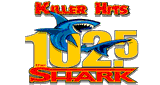 The Shark