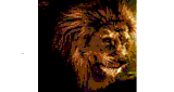 Solace Radio