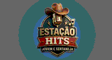 Esta&ccedil;&atilde;o hits