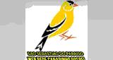 Web Rede Canarinho Gospel