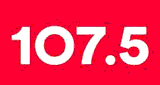 R&aacute;dio pau-brasil FM