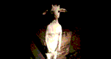 &Aring;mbiguous Sounds