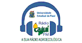 R&aacute;dio Caju&iacute;