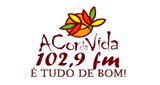 A Cor da Vida