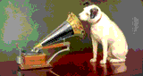 Aurora Web Radio