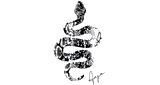 Aaja Music - Channel 2
