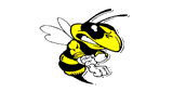 Mad Wasp Radio