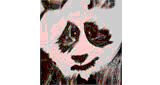 Blue Panda Radio