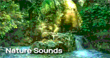Radio Art - Nature
