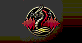 Verr&uuml;cktes-Drachen-Radio