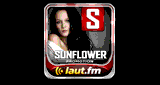 Sunflower Promotion - New Hits