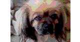 Floppy FM