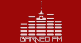 Barneo Fm - History