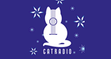 Happy New Cat! Праздник каждый день!
