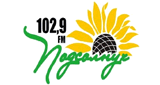 Радио Подсолнух 102.9 FM