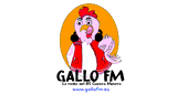 Gallo FM