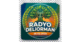 RadYo Deliorman